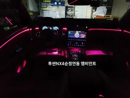 대구 투싼NX4 엠비언트.투싼NX4순정연동 엠비언트 / 대구, 구미
