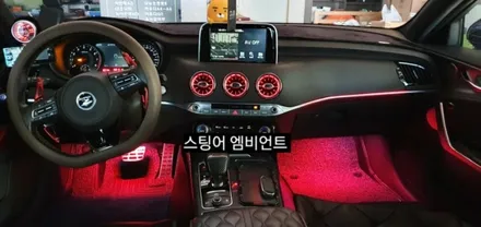 대구 스팅어벤풍구 엠비언트&순정데쉬보드하단엠비언트이식&풋등 / 대구, 구미
