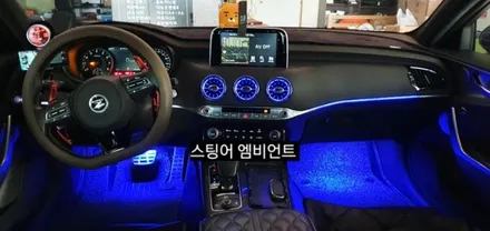 대구 스팅어벤풍구 엠비언트&순정데쉬보드하단엠비언트이식&풋등 / 대구, 구미