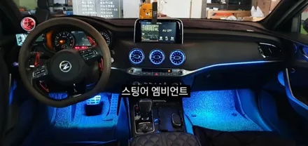 대구 스팅어벤풍구 엠비언트&순정데쉬보드하단엠비언트이식&풋등 / 대구, 구미