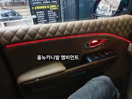 올뉴카니발 엠비언트 (단색) / 대구, 구미