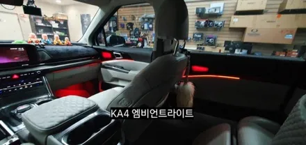 대구 카니발 KA4 엠비언트라이트 &풋등 / 대구, 구미