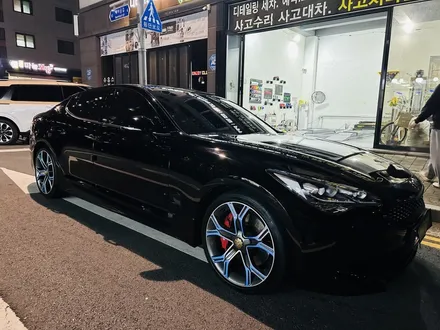 스팅어 블랙 에디션 (  전체 크롬죽이기 ) / 시흥시 목감동