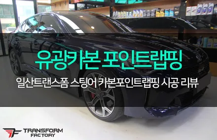 스팅어 카본 포인트랩핑으로 멋진 변신! / 고양시 덕이동