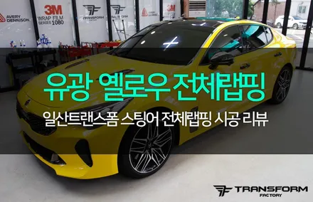 스팅어 에이버리 유광옐로우 전체랩핑 / 고양시 덕이동