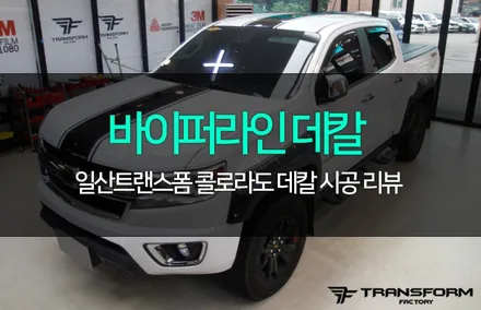 콜로라도 바이퍼라인 데칼 / 고양시 덕이동
