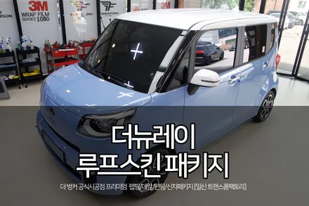 더뉴레이 튜닝 루프스킨 패키지 시공 by 트랜스폼팩토리 / 고양시 덕이동