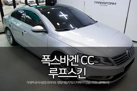 루프스킨 가격 대비 높은 드레스업 효과까지! / 고양시 덕이동
