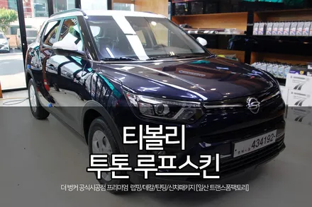 티볼리 투톤 루프스킨 시공 / 고양시 덕이동
