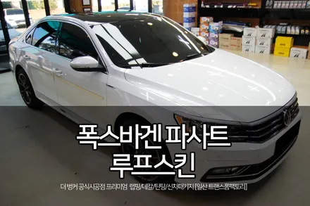 일산 랩핑 폭스바겐 파사트 루프스킨 시공 / 고양시 덕이동