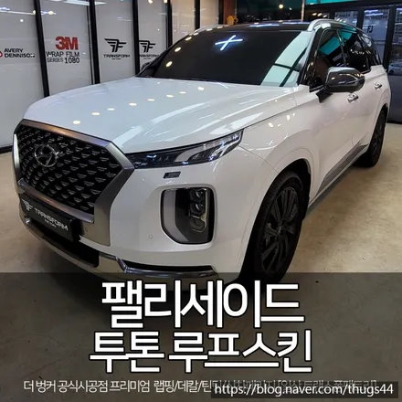 팰리세이드 튜닝 투톤 루프스킨 하나면 끝! / 고양시 덕이동