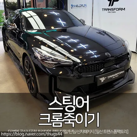 스팅어 크롬죽이기 시공 by 일산랩핑 트랜스폼 / 고양시 덕이동