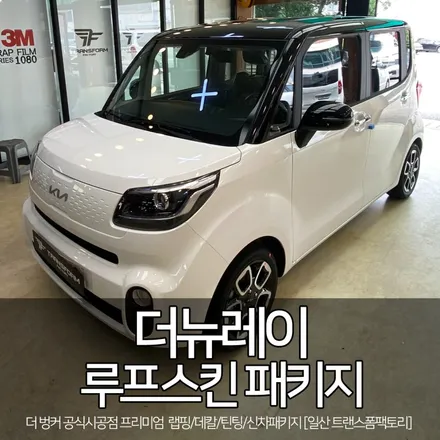 더뉴레이 루프스킨 패키지 선택 아닌 필수! / 고양시 덕이동