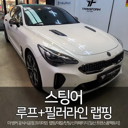 스팅어 루프 뒷 부분+필러라인 랩핑 시공 [일산 랩핑샵] 트랜스폼팩토리 / 고양시 덕이동