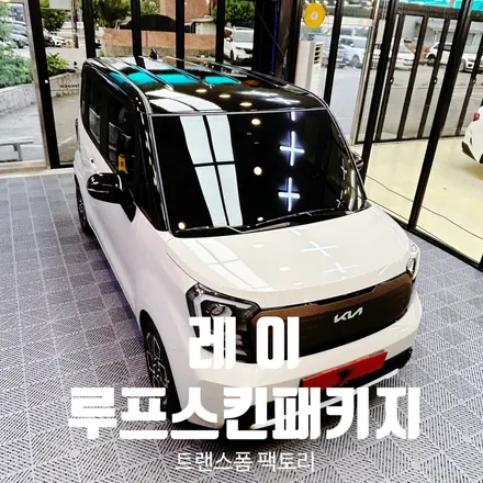 레이 루프스킨 패키지 + 앞뒤가니쉬 포인트 래핑 시공기 / 고양시 덕이동
