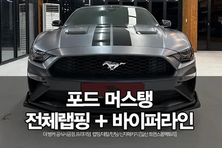 [일산 랩핑] 포드 머스탱 컨버터블 사틴다크그레이 전체랩핑 + 바이퍼라인 시공기!! / 고양시 덕이동