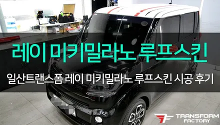 [TF] 레이 미키밀라노 루프스킨 시공 리뷰 / 고양시 덕이동