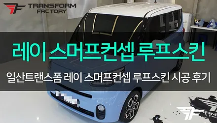 [TF] 더뉴레이 스머프 컨셉 루프스킨 패키지 시공 리뷰 / 고양시 덕이동