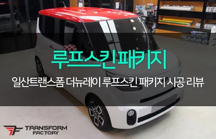 더뉴레이 카마인레드 루프스킨 패키지 / 고양시 덕이동