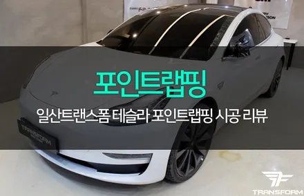 테슬라 포인트 랩핑 멋지네요! / 고양시 덕이동