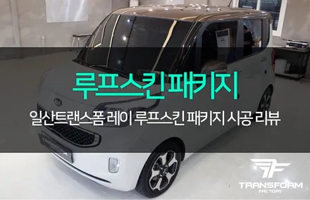 레이 루프스킨 패키지로 완벽 드레스업! / 고양시 덕이동