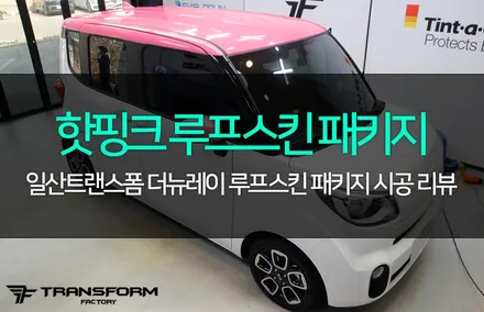 더뉴레이 루프스킨 패키지 3m 핫핑크 컬러로 화사하게! / 고양시 덕이동