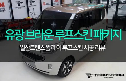 밀키베이지 레이 브라운메탈릭 루프스킨 패키지 / 고양시 덕이동