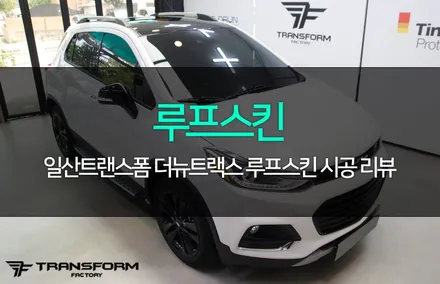 더뉴트랙스 루프스킨 랩핑이 처음인 분들께 추천합니다! / 고양시 덕이동