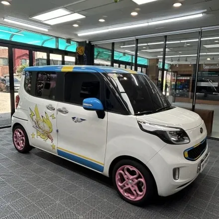 일산 랩핑 레이 루프스킨 재시공 리뷰. / 고양시 덕이동