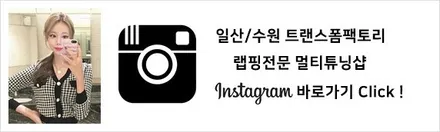 [TF]  스팅어 루프스킨 시공 / 고양시 덕이동