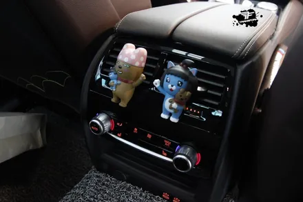 일산 랩핑샵 bmw g30 실내 랩핑 시공 (에이버리/무광카본) / 고양시 덕이동