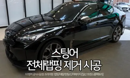 팰리세이드 3m 스카이블루 전체랩핑 재시공 / 일산 트랜스폼팩토리 / 고양시 덕이동