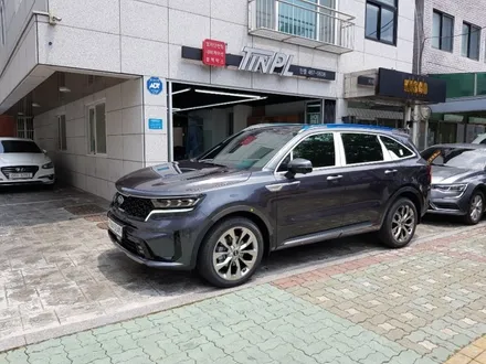 4세대 MQ4 쏘렌토 레인보우 V90 썬팅시공! 강동구 신차패키지 전문시공점 틴플 / 서울 중랑구 망우동
