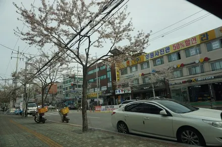 광진구 신차패키지 신차검수 레인보우v90 썬팅 틴플 / 서울 중랑구 망우동