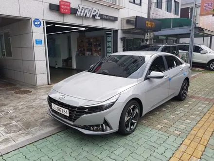 현대자동차 CN7 올뉴아반테, 강동구 신차썬팅 전문시공점 틴플! / 서울 중랑구 망우동