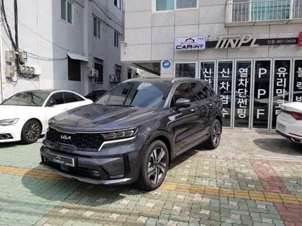 남양주 썬팅 신차패키지 쏘렌토MQ 썬팅 블랙박스 언더코팅 패키지 틴플 카핏 강북점 / 서울 중랑구 망우동