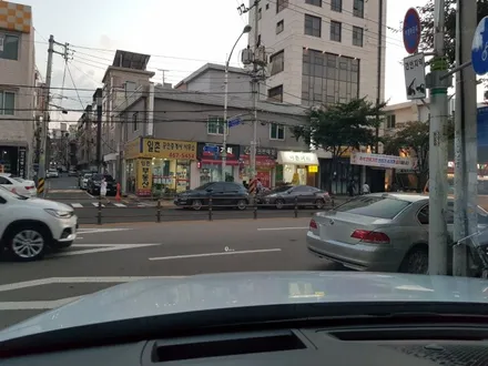 강동구 썬팅 신차패키지 블랙박스, 팰리세이드 블락포디 디토/아이나비Z500플러스 / 서울 중랑구 망우동