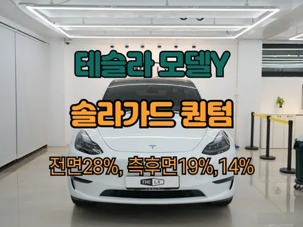 잠실에서 하남으로 모델Y 솔라가드 퀀텀 썬팅하러 왔습니다! / 하남 망월동