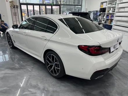 BMW 530E 윈도 틴팅 (솔라가드 프리미엄 퀀텀) / 서울 중랑구 면목동