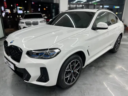 BMW X4 윈도 틴팅 (솔라가드 프리미엄 퀀텀) / 서울 중랑구 면목동