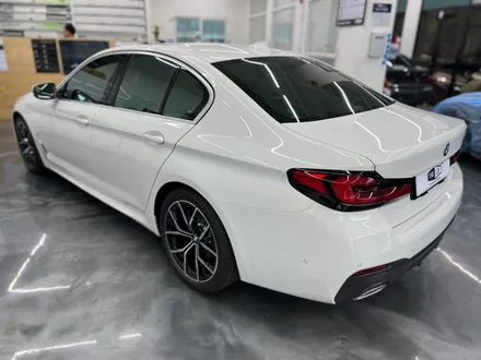 BMW 530i 윈도 틴팅 (솔라가드 프리미엄 퀀텀) / 서울 중랑구 면목동