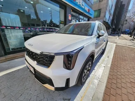 불경기에도 후회없는 선택! 쏘렌토가 은평구 [루마버텍스 은평대조점]에서 베가로 썬팅했어요 / 서울 은평구 대조동