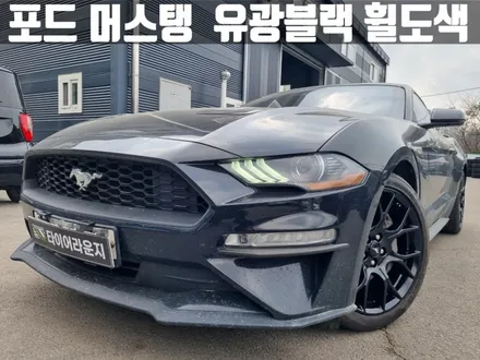검단 휠도색 포드 머스탱 유광 블랙 19인치 휠 도색 / 인천 서구