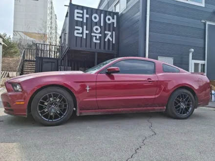 머스탱 분당 판교 세차 후 손상된 버핑 휠 도색 완벽수리 / 인천 서구