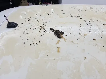 미니쿠퍼 멜빵데칼 랩핑 포인트주기 루프스킨제거   제트존  스프라이트 데칼  미니쿠퍼랩핑 랩핑제거까지 / 부천시 소사구 송내동