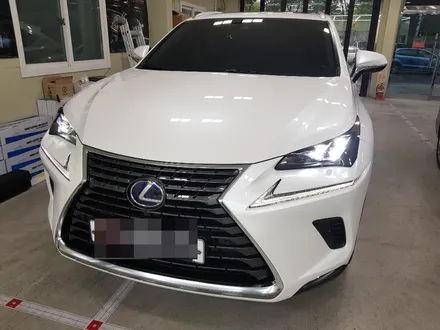 [렉서스 NX300H PPF 생활보호 패키지 시공]