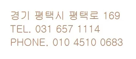 더뉴 카니발 \