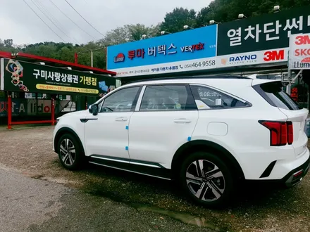 루마썬팅 버텍스 상모점/쏘렌토MQ4 신차썬팅부터 컴퓨터재단기로 PPF까지 깔끔하게 시공/쏘렌토MQ4 신차썬팅 / 경북 구미