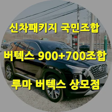 구미 프리미엄 썬팅 루마 버텍스900+700국민조합 팰리세이드 신차패키지 / 경북 구미