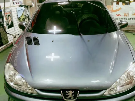 푸조 전면썬팅(루마LD) / 경북 구미